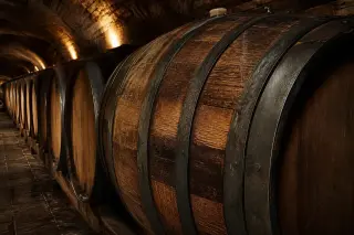 Fermentation vat with bubbling red grape must in a warm-lit stone cellar, wooden barrels and rustic details visible in soft focus.