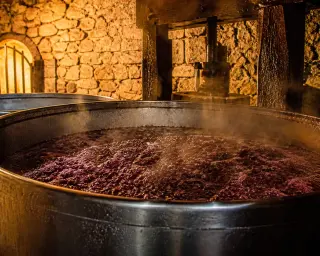 Fermentation vat with bubbling must in a stone-walled wine cellar, warm dim lighting, focus on textures and steam.