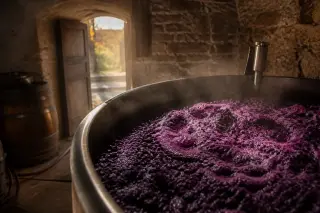 Bubbling grape must in an open steel vat inside a rustic stone cellar, warm dawn light highlighting textured stone and wood surfaces, evoking the craft of winemaking.