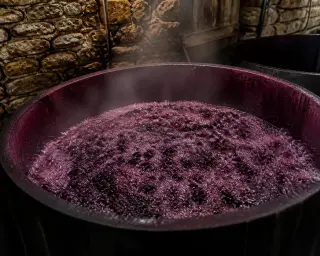Fermentation vat filled with bubbling grape must in a dimly lit stone cellar, subtle vapors rising and autumnal tones suggesting the macération carbonique process.