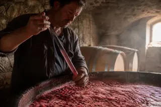 Winemaker draws bubbling rosé must from an open fermentation vat in a rustic stone cellar lit by warm dawn light.