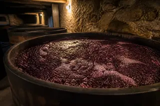 Bubbling red wine must in a wooden vat inside a dimly lit stone cellar, highlighting fermentation during winemaking.